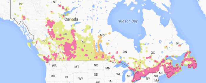 Koodo' network coverage