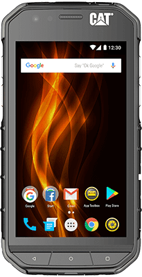 Cat S31